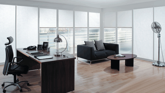 office blinds for windows